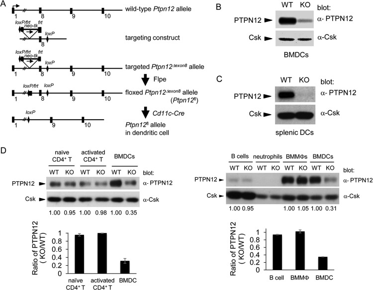 FIG 1