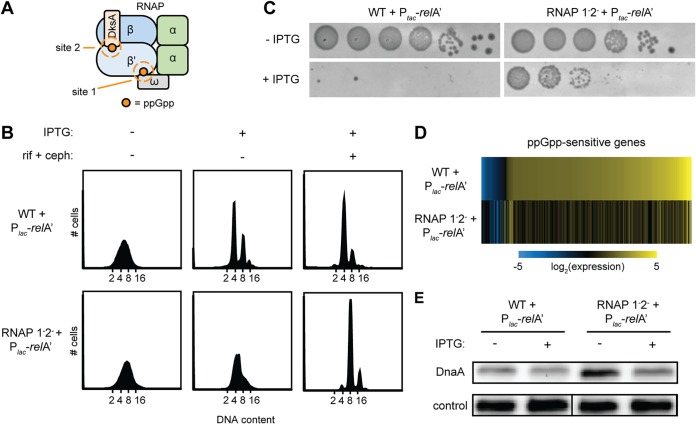 FIG 3