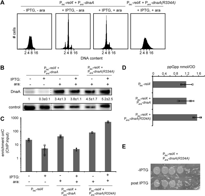 FIG 2