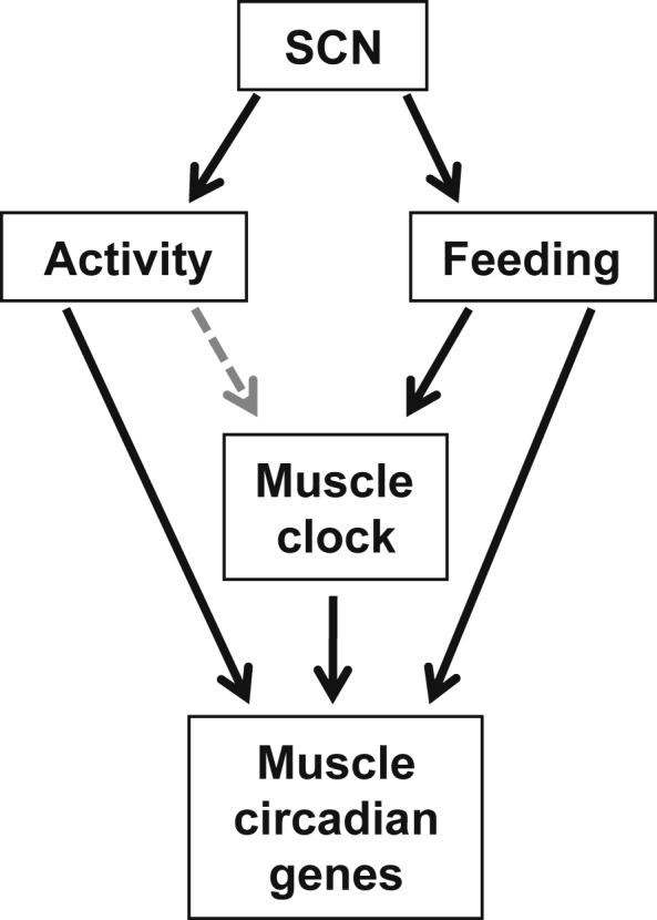 Figure 6