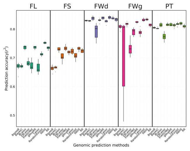 Figure 4