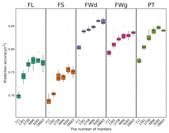 Figure 5