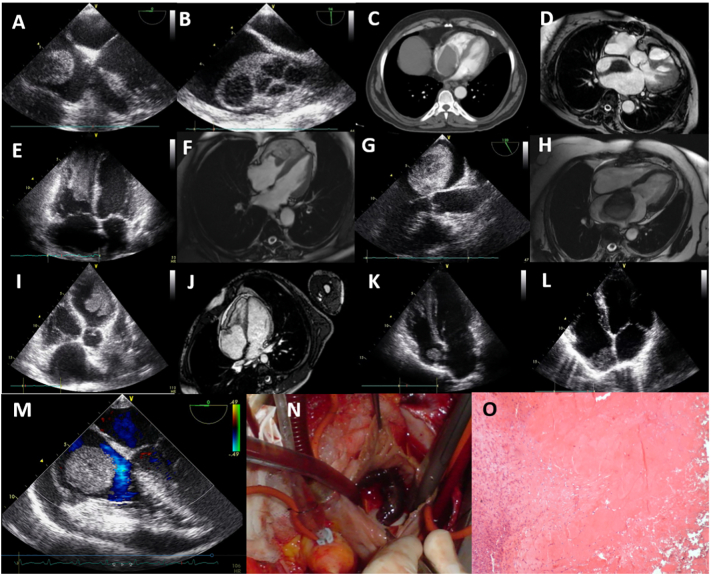 Fig. 5