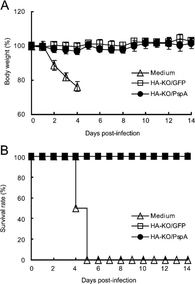 FIG 4