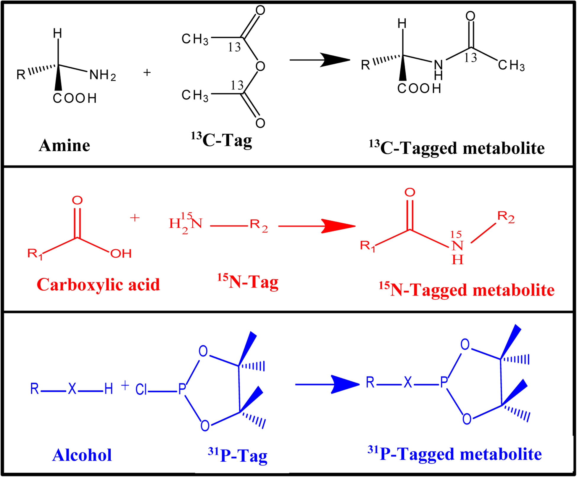 Fig. 3: