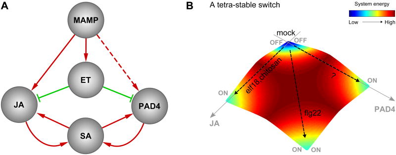 Figure 7