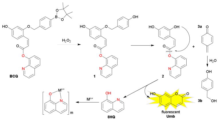 Scheme 1