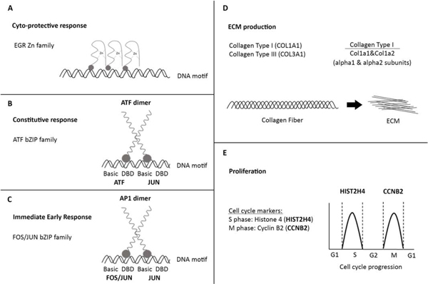 Figure 7: