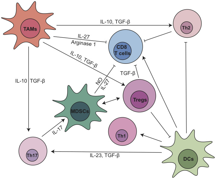 Figure 2