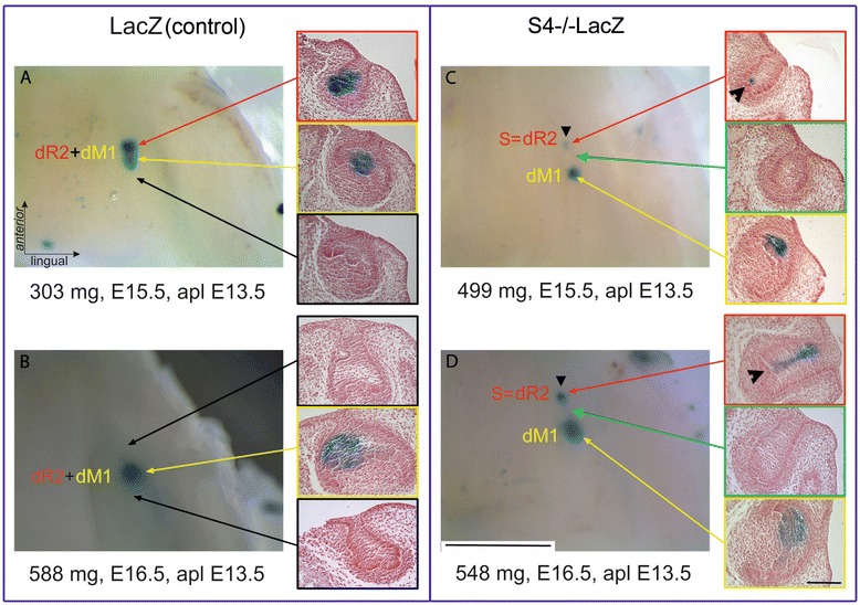 Figure 4