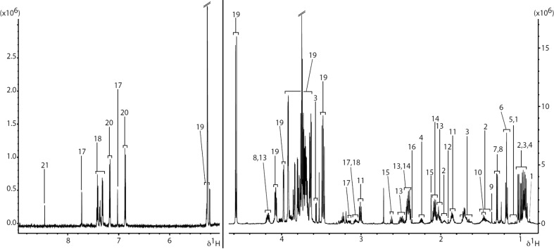 Fig. 2