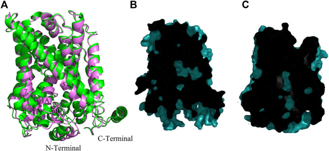 FIGURE 3