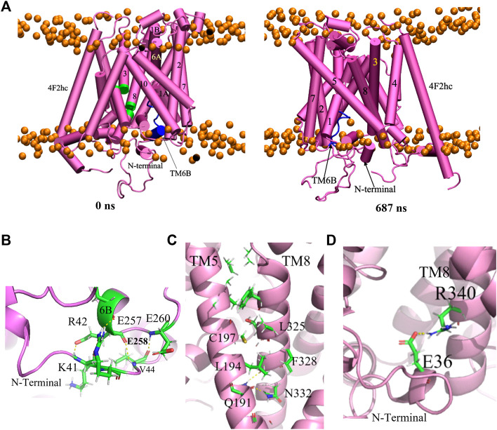 FIGURE 7