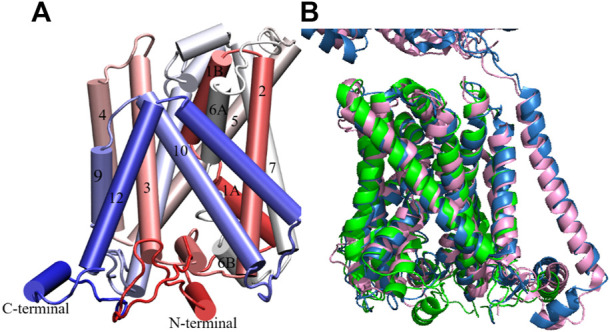 FIGURE 2