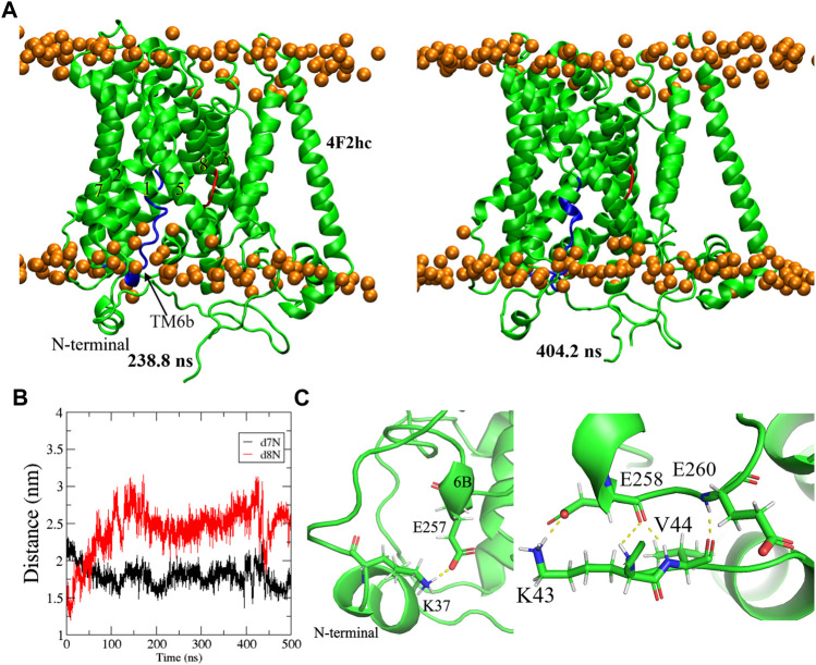 FIGURE 6