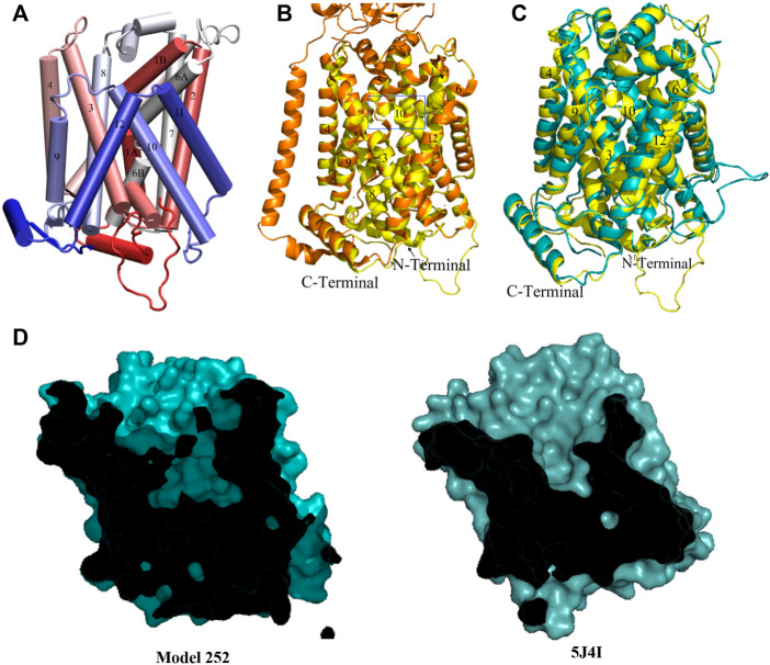 FIGURE 5