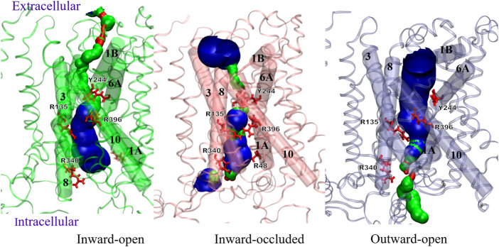 FIGURE 10