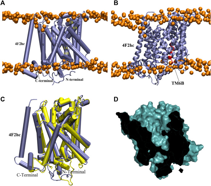 FIGURE 9