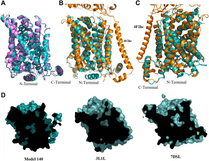 FIGURE 4