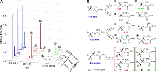 Fig. 3.