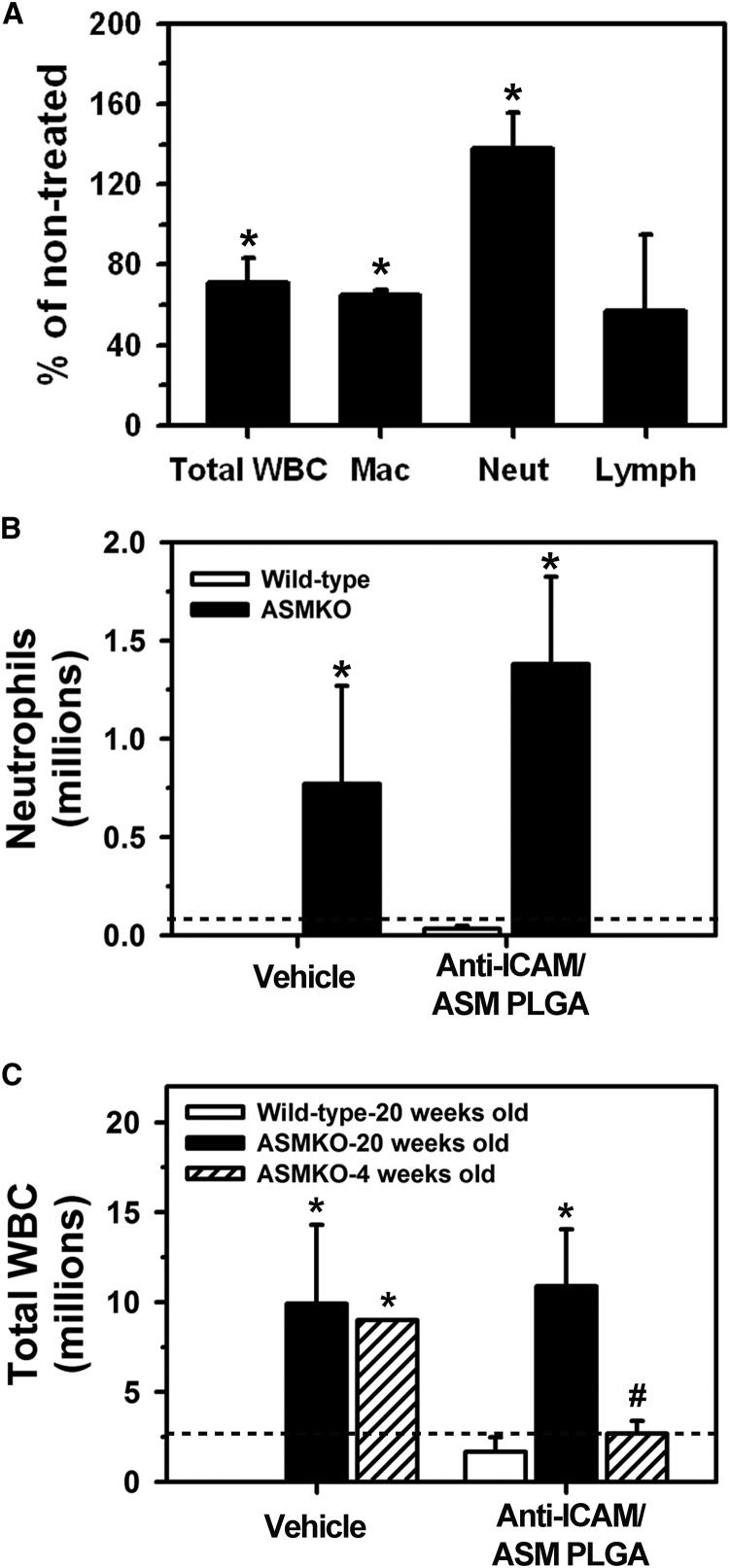 Figure 7