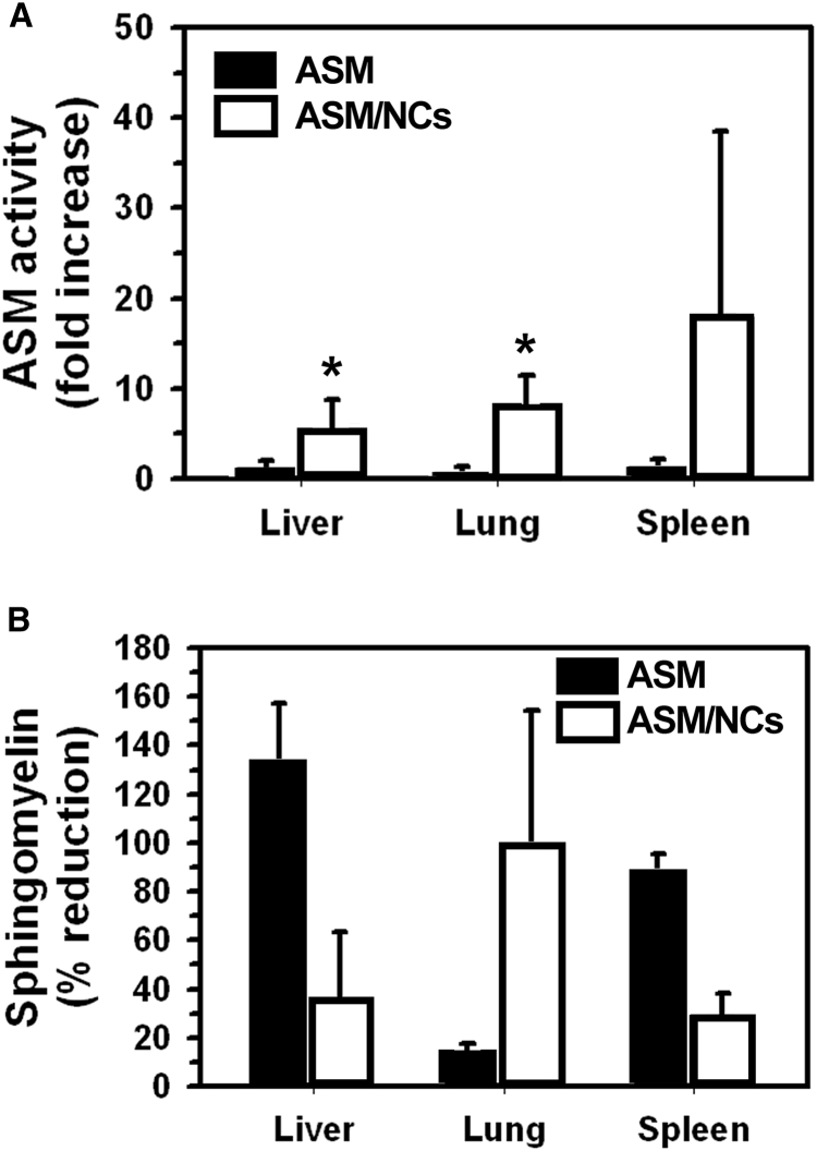 Figure 6