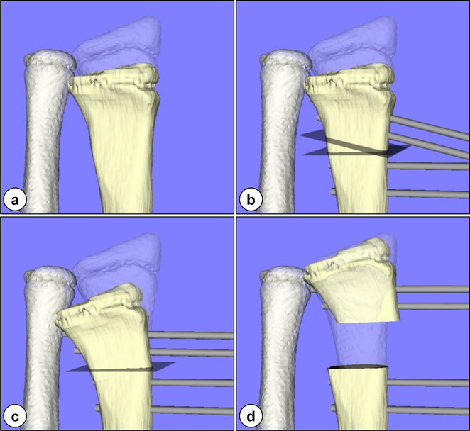 Fig. 8