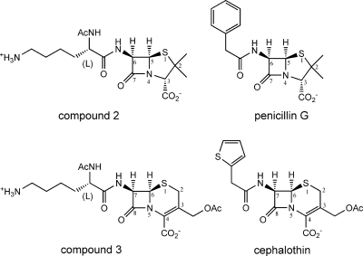 FIG. 6.