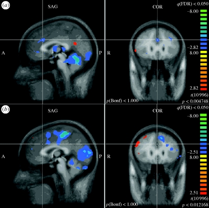 Figure 2.