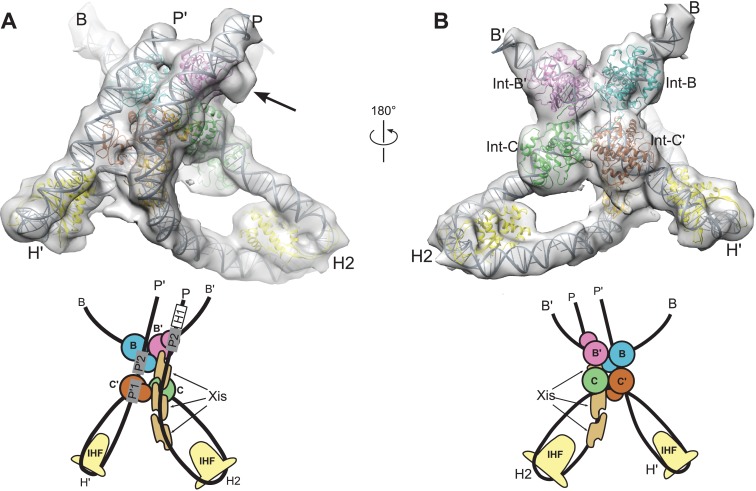 Figure 5.