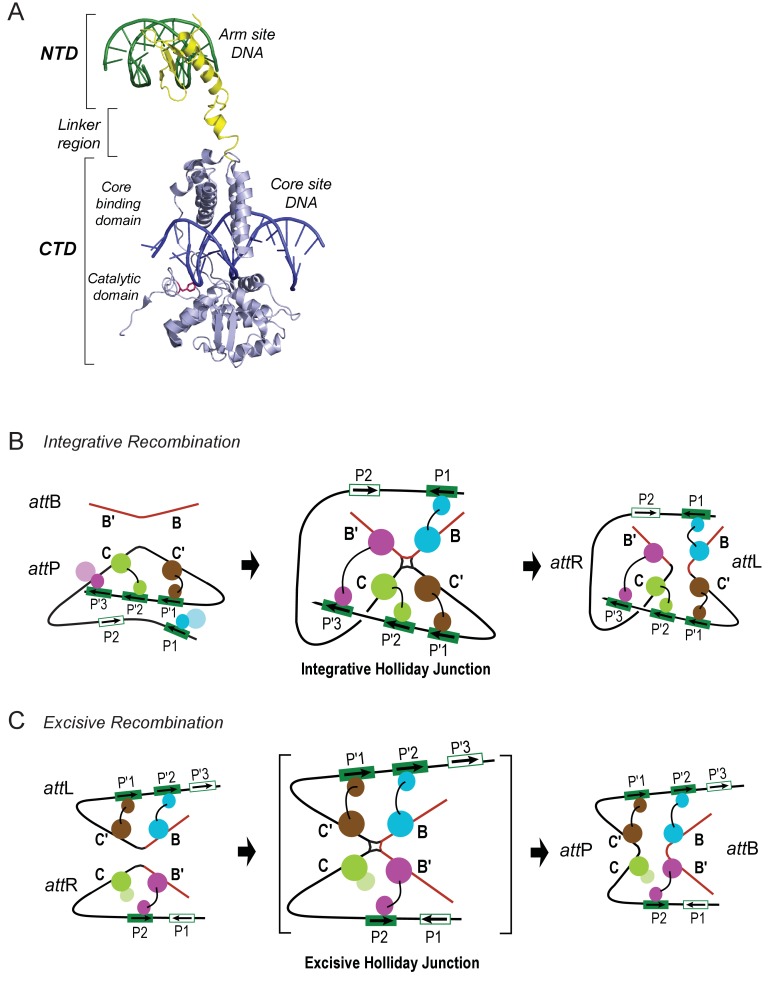 Figure 2.