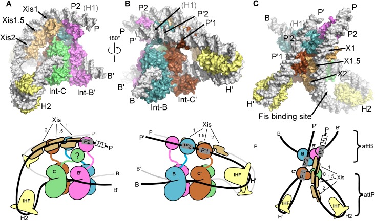 Figure 6.