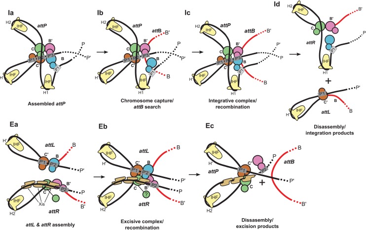 Figure 9.