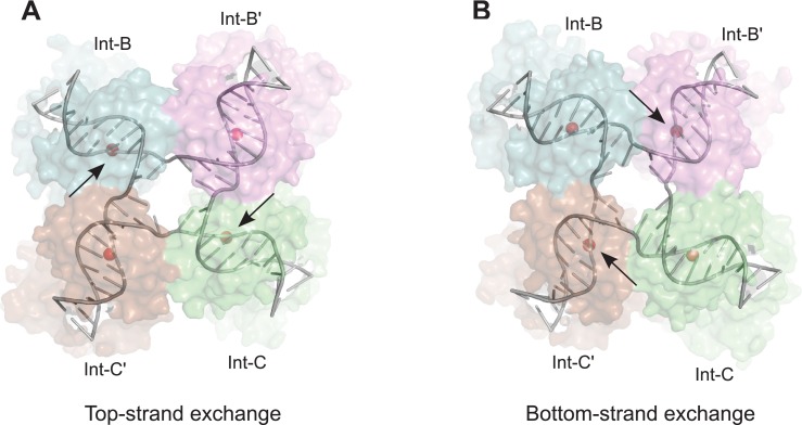 Figure 7.