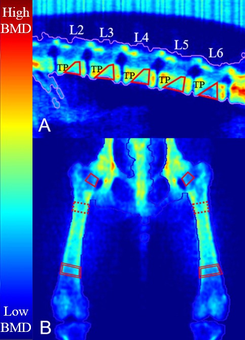 Fig. 3.