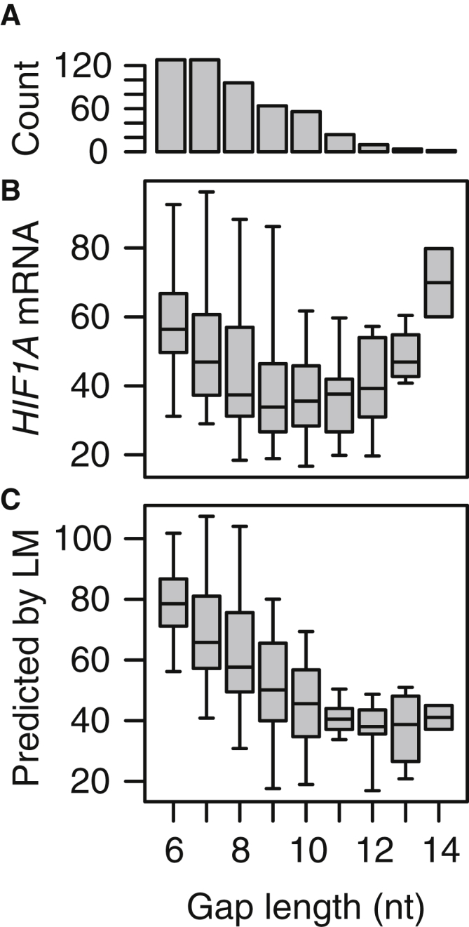 Figure 5