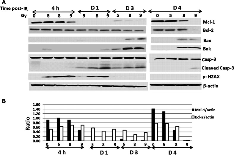 Fig. 2