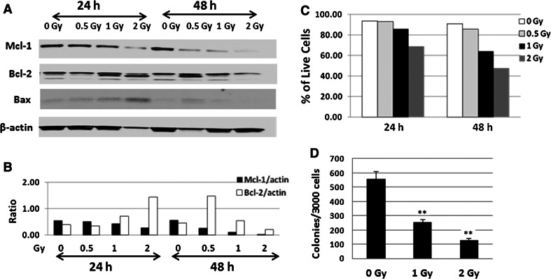 Fig. 4