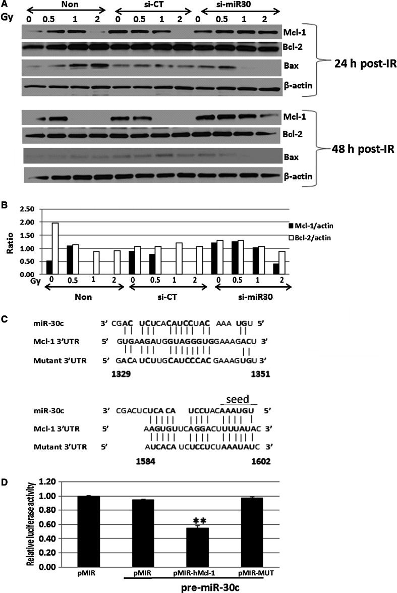 Fig. 7