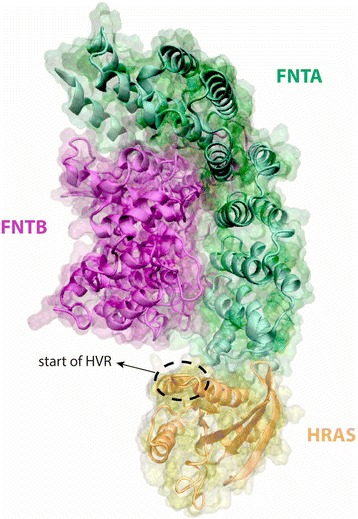 Fig. 7