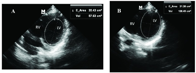 FIGURE 7.