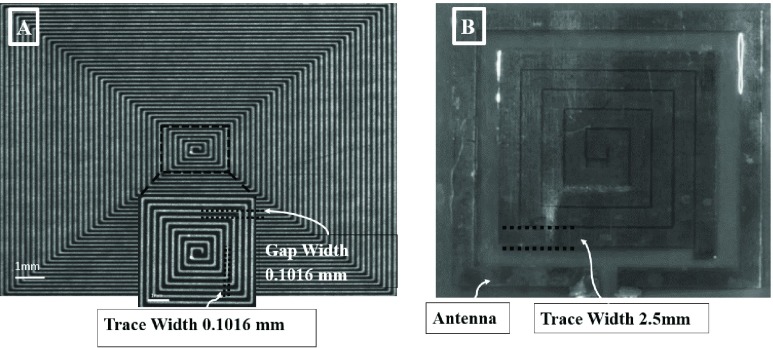 FIGURE 1.