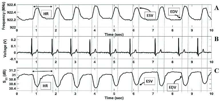 FIGURE 10.