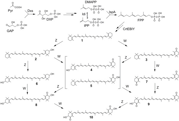 Figure 1