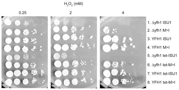 Figure 9