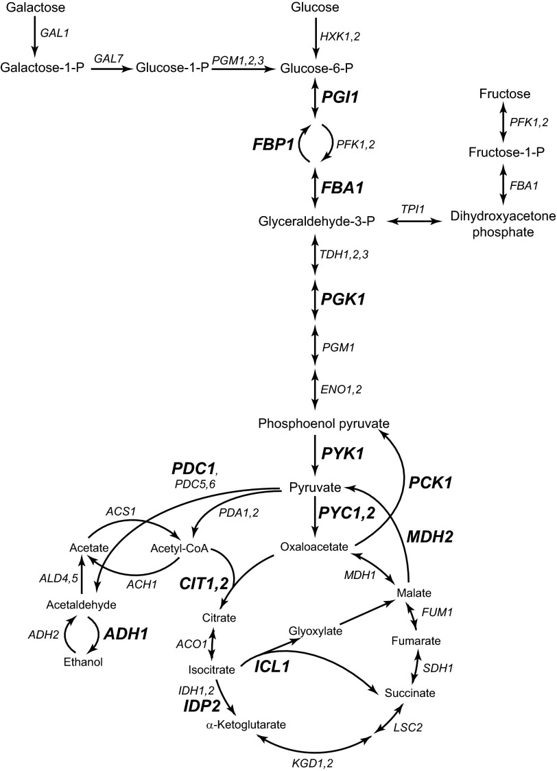 FIGURE 1.