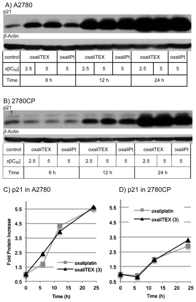 Fig. 9