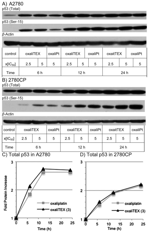 Fig. 8