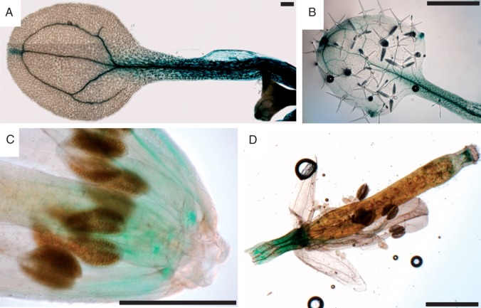 Fig. 2.