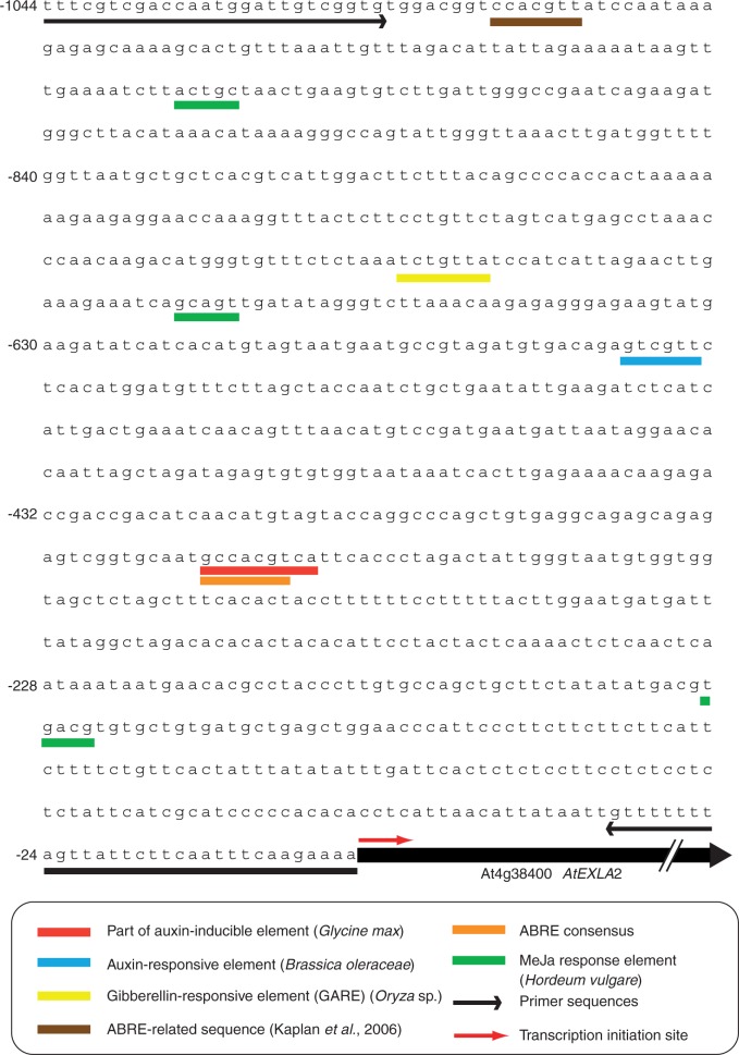 Fig. 3.